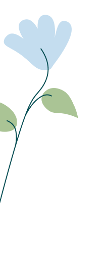 Pflanzenbild