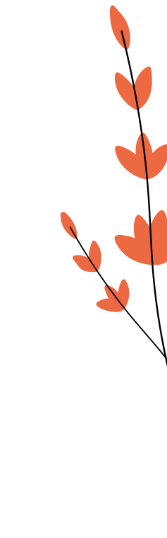 Pflanzenbild