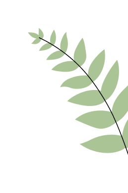 Pflanzenbild