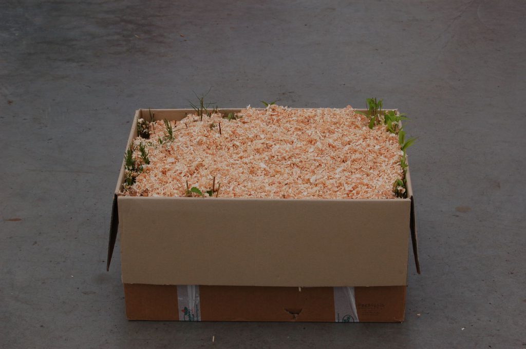Eine weitere Ansicht der vollen Verpackung zum Transport