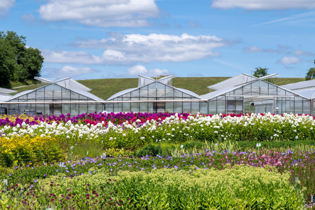 Staudenmix Gartenanlage