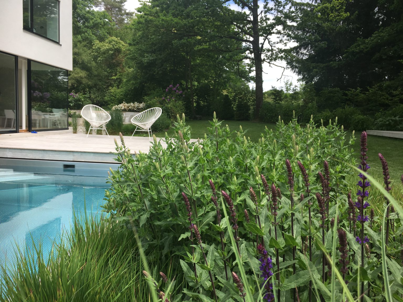 Gartenpakete SOULGARDEN by Alexandra Lehne & Staudenmix