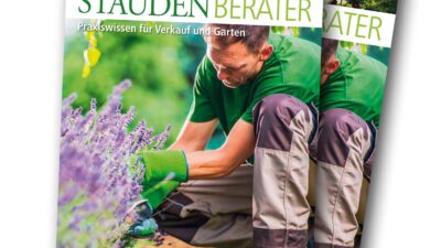 Staudenberater