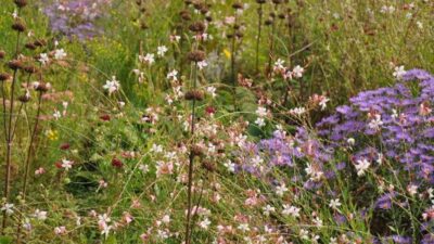 Silbersommer
