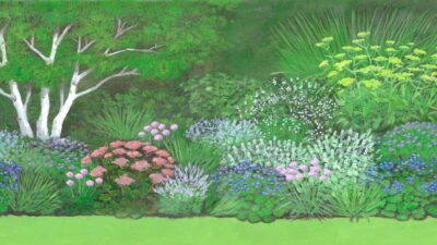 Moderner Garten in der Sonne