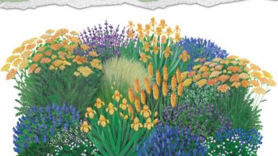 Landlust Kollektion: Buntes Insektenbuffet