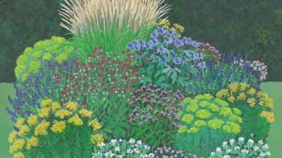 Garten Flora artenreich und pflegeleicht