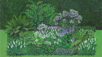 Garten Flora Schmucke Blätter