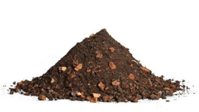 Corthum Dachsubstrat Extensiv