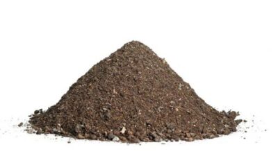 Corthum Dachgartensubstrat Intensiv