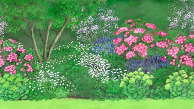 Weiß,  trockenheitstolerant in der Sonne