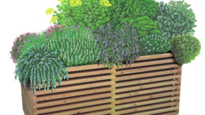 Outbay Hochbeet Maximilian Kräuter