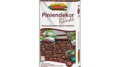 Corthum Piniendekorrinde