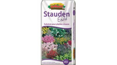 Corthum Staudenerde