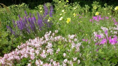 Blütensaum exotisch