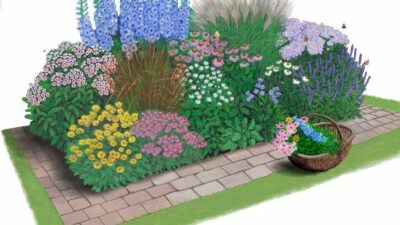 Bienen/Schnittstauden Paket