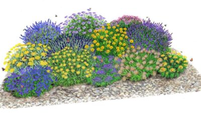 Bienenstauden Paket klein