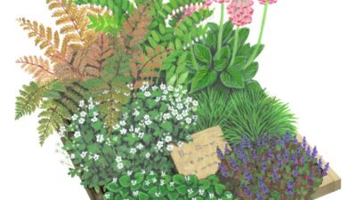 Urnengrab Ruhe & Bescheidenheit