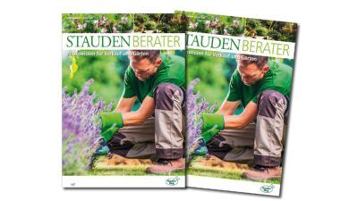 Staudenberater