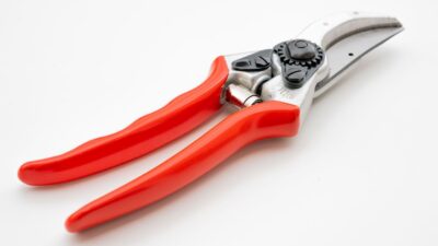 Rebschere Felco 2