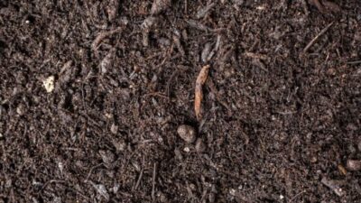Corthum Gartenkompost Big Bag