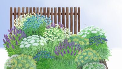 Kraut und Rüben Wildgarten Paket