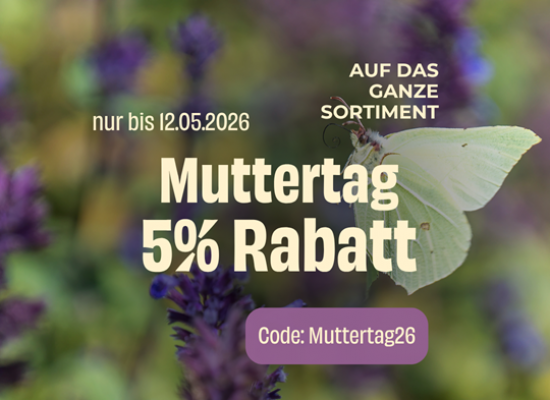 Staudenmix - Instagram (1)